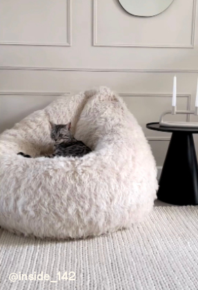 Cocoon Bean Bags