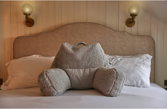Discover Comfort: Icon Support Pillow Bean Bag