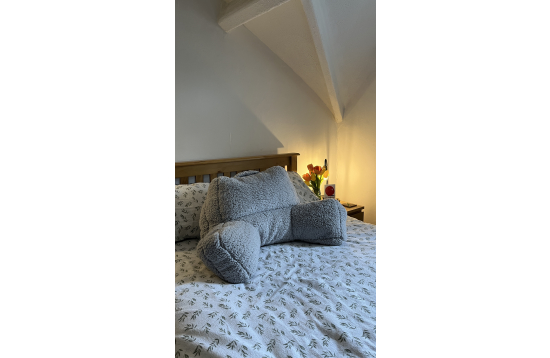 @georgegrantham_ / teddy fleece cuddle cushion