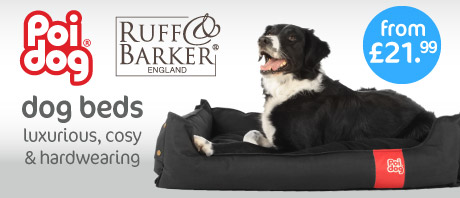 Dog Beds Dog Beds