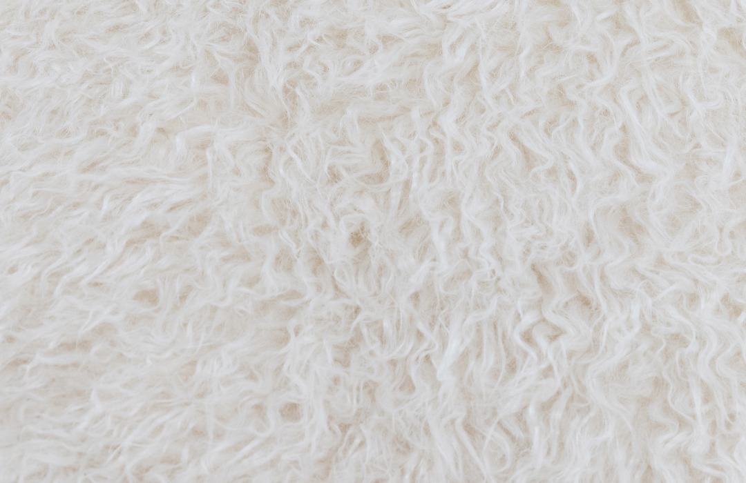 Get The Trend: Pantone Colour of the Year 2026, Cloud Dancer